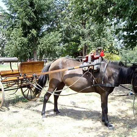 Podere Cagnanova * Pomarance